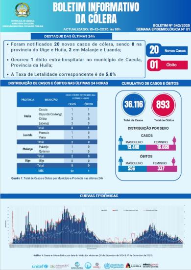 Boletim de Colera 2025 Nº 342